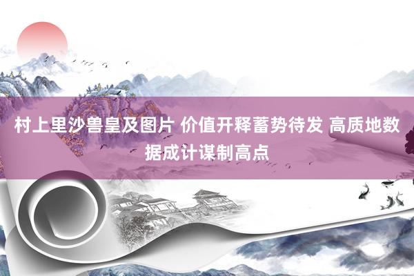 村上里沙兽皇及图片 价值开释蓄势待发 高质地数据成计谋制高点