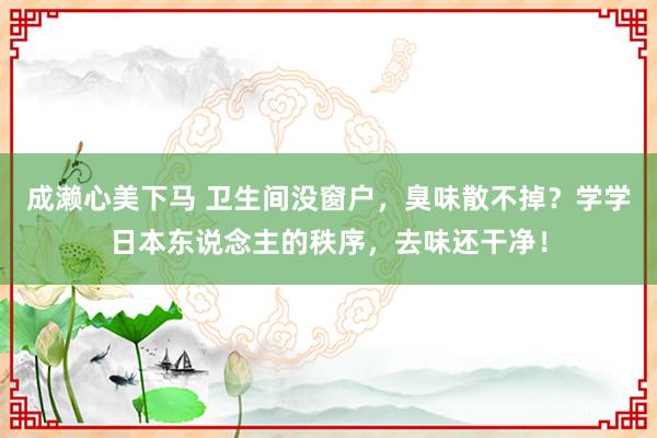 成濑心美下马 卫生间没窗户，臭味散不掉？学学日本东说念主的秩序，去味还干净！