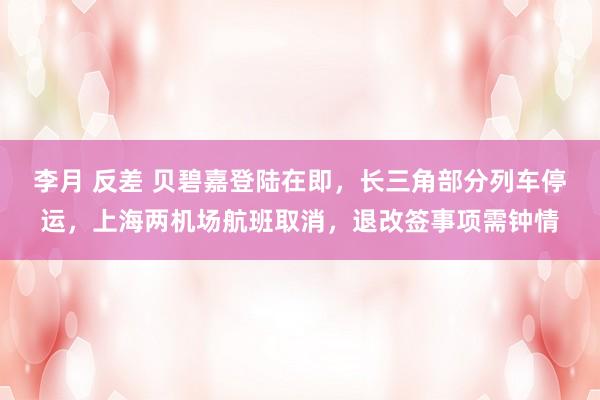 李月 反差 贝碧嘉登陆在即，长三角部分列车停运，上海两机场航班取消，退改签事项需钟情