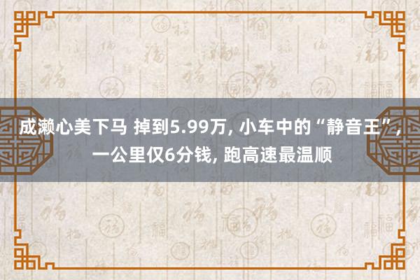 成濑心美下马 掉到5.99万, 小车中的“静音王”, 一公里仅6分钱, 跑高速最温顺