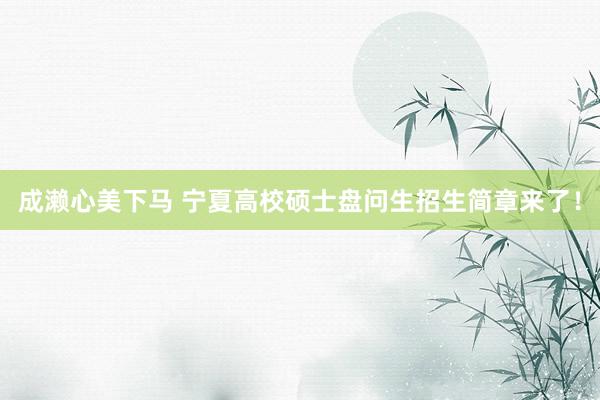 成濑心美下马 宁夏高校硕士盘问生招生简章来了！