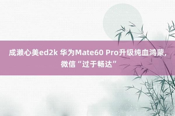 成濑心美ed2k 华为Mate60 Pro升级纯血鸿蒙, 微信“过于畅达”