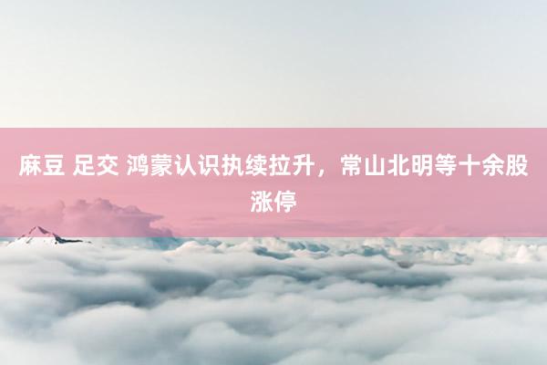 麻豆 足交 鸿蒙认识执续拉升，常山北明等十余股涨停