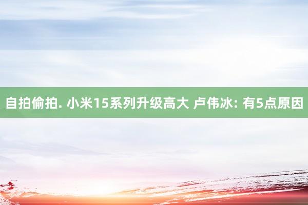 自拍偷拍. 小米15系列升级高大 卢伟冰: 有5点原因