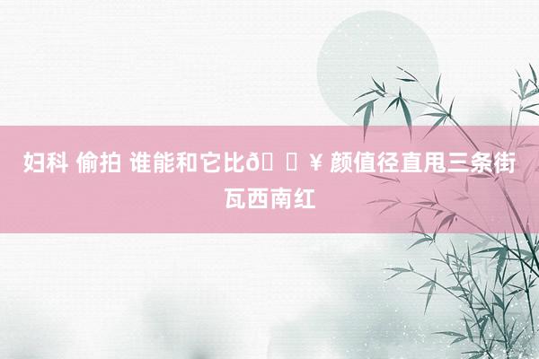 妇科 偷拍 谁能和它比💥 颜值径直甩三条街瓦西南红