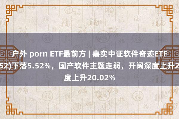 户外 porn ETF最前方 | 嘉实中证软件奇迹ETF(159852)下落5.52%，国产软件主题走弱，开阔深度上升20.02%