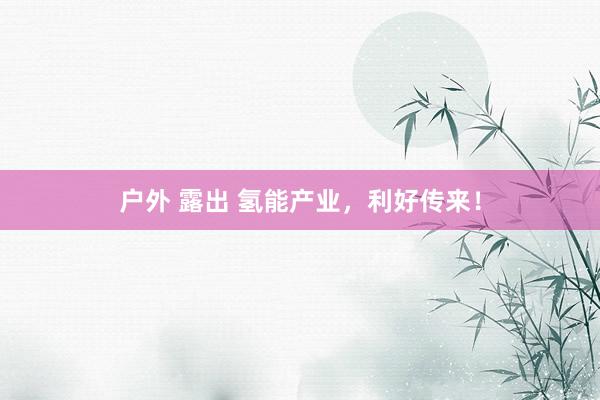 户外 露出 氢能产业，利好传来！