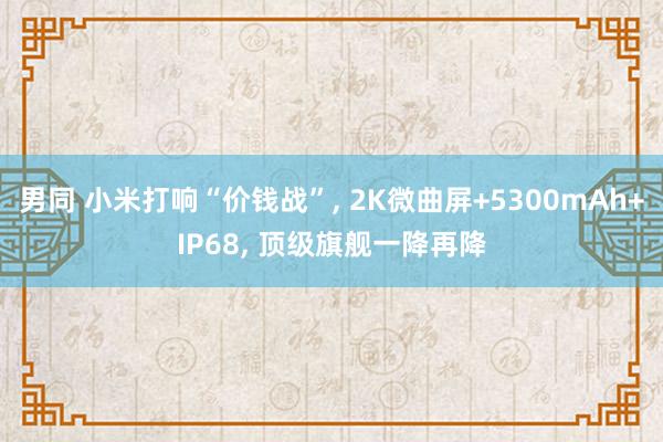 男同 小米打响“价钱战”, 2K微曲屏+5300mAh+IP68, 顶级旗舰一降再降