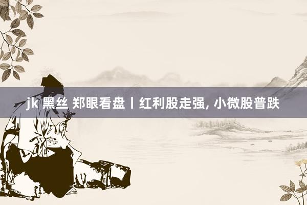 jk 黑丝 郑眼看盘丨红利股走强, 小微股普跌