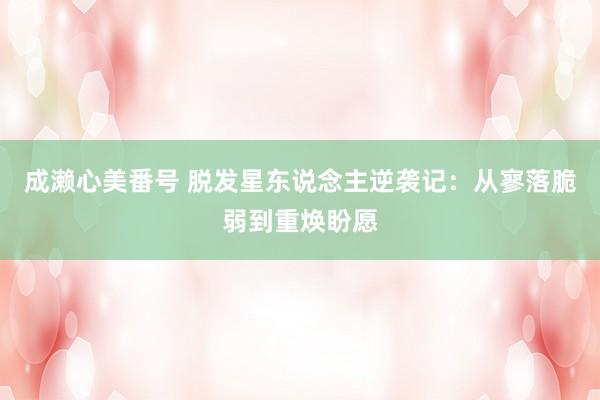 成濑心美番号 脱发星东说念主逆袭记：从寥落脆弱到重焕盼愿