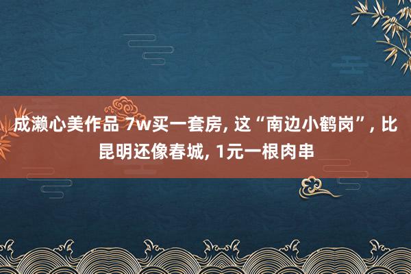 成濑心美作品 7w买一套房, 这“南边小鹤岗”, 比昆明还像春城, 1元一根肉串