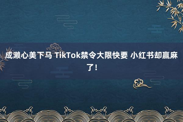 成濑心美下马 TikTok禁令大限快要 小红书却赢麻了！