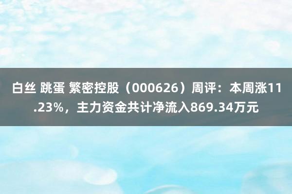 白丝 跳蛋 繁密控股（000626）周评：本周涨11.23%，主力资金共计净流入869.34万元