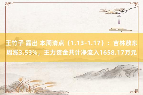 王竹子 露出 本周清点（1.13-1.17）：吉林敖东周涨3.53%，主力资金共计净流入1658.17万元