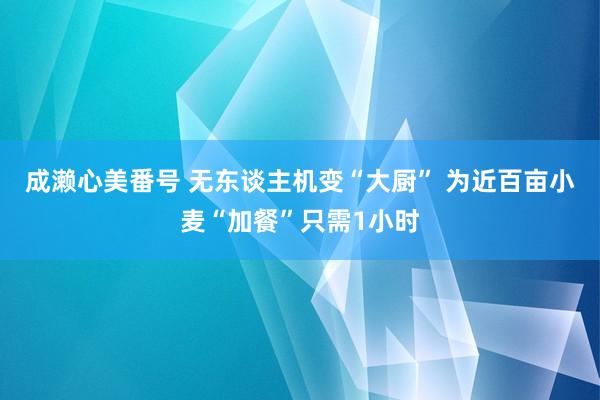 成濑心美番号 无东谈主机变“大厨” 为近百亩小麦“加餐”只需1小时