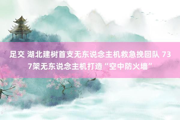 足交 湖北建树首支无东说念主机救急挽回队 737架无东说念主机打造“空中防火墙”