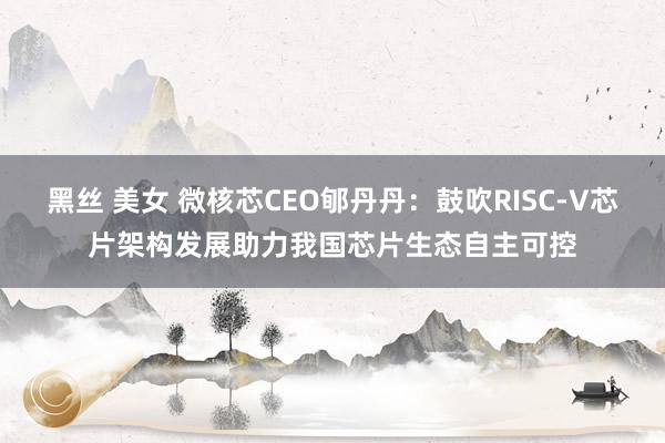 黑丝 美女 微核芯CEO郇丹丹：鼓吹RISC-V芯片架构发展助力我国芯片生态自主可控