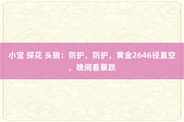 小宝 探花 头狼：防护，防护，黄金2646径直空，晚间看暴跌