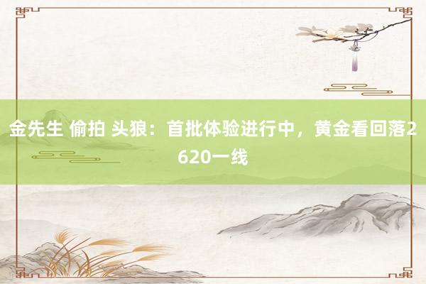 金先生 偷拍 头狼：首批体验进行中，黄金看回落2620一线