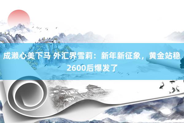 成濑心美下马 外汇界雪莉：新年新征象，黄金站稳2600后爆发了