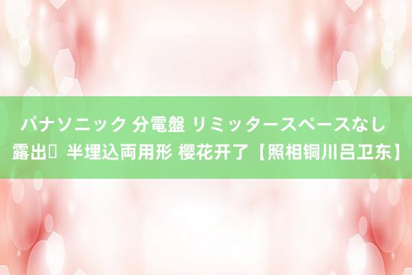 パナソニック 分電盤 リミッタースペースなし 露出・半埋込両用形 樱花开了【照相铜川吕卫东】