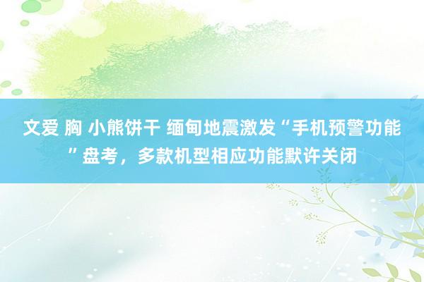 文爱 胸 小熊饼干 缅甸地震激发“手机预警功能”盘考，多款机型相应功能默许关闭