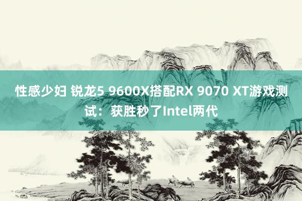 性感少妇 锐龙5 9600X搭配RX 9070 XT游戏测试：获胜秒了Intel两代