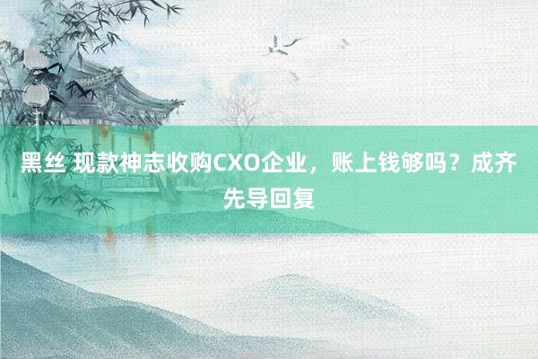 黑丝 现款神志收购CXO企业，账上钱够吗？成齐先导回复