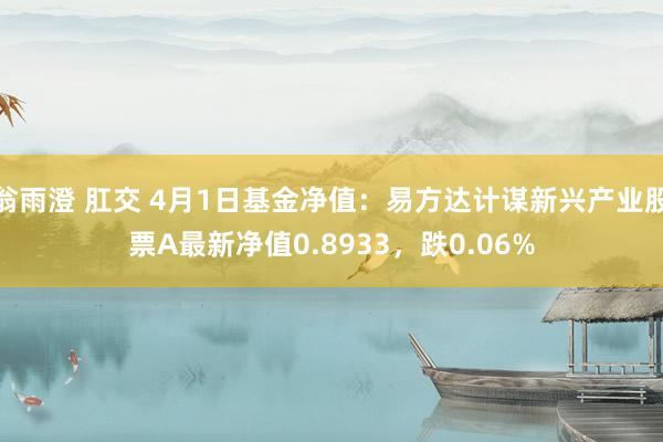 翁雨澄 肛交 4月1日基金净值：易方达计谋新兴产业股票A最新净值0.8933，跌0.06%