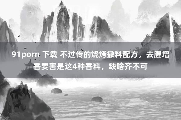 91porn 下载 不过传的烧烤撒料配方，去腥增香要害是这4种香料，缺啥齐不可
