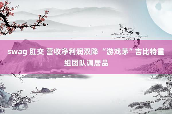 swag 肛交 营收净利润双降 “游戏茅”吉比特重组团队调居品
