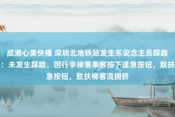 成濑心美快播 深圳北地铁站发生东说念主员踩踏？官方通报：未发生踩踏，因行李掉落乘客按下遑急按钮，致扶梯客流拥挤
