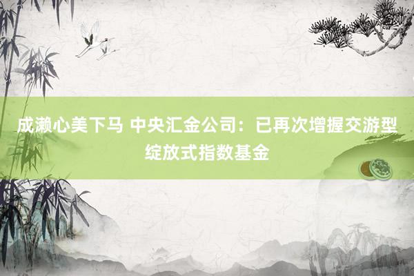 成濑心美下马 中央汇金公司：已再次增握交游型绽放式指数基金