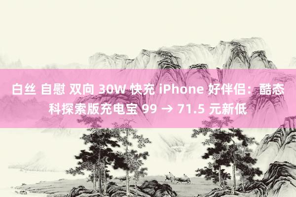白丝 自慰 双向 30W 快充 iPhone 好伴侣：酷态科探索版充电宝 99 → 71.5 元新低