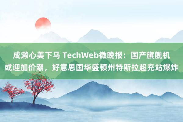 成濑心美下马 TechWeb微晚报：国产旗舰机或迎加价潮，好意思国华盛顿州特斯拉超充站爆炸