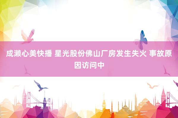 成濑心美快播 星光股份佛山厂房发生失火 事故原因访问中