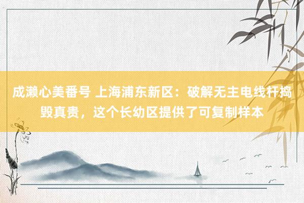 成濑心美番号 上海浦东新区：破解无主电线杆捣毁真贵，这个长幼区提供了可复制样本