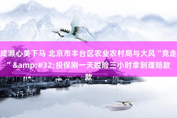 成濑心美下马 北京市丰台区农业农村局与大风“竞走”&#32;投保刚一天脱险三小时拿到理赔款
