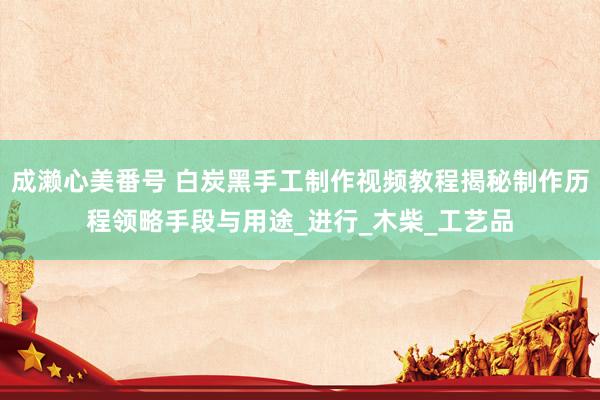 成濑心美番号 白炭黑手工制作视频教程揭秘制作历程领略手段与用途_进行_木柴_工艺品