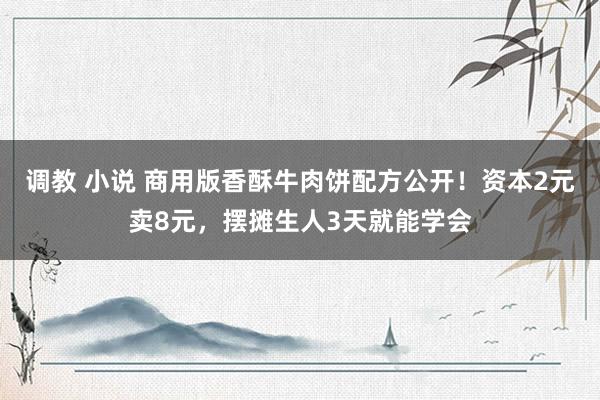调教 小说 商用版香酥牛肉饼配方公开！资本2元卖8元，摆摊生人3天就能学会