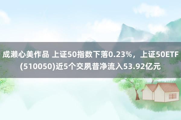 成濑心美作品 上证50指数下落0.23%，上证50ETF(510050)近5个交夙昔净流入53.92亿元