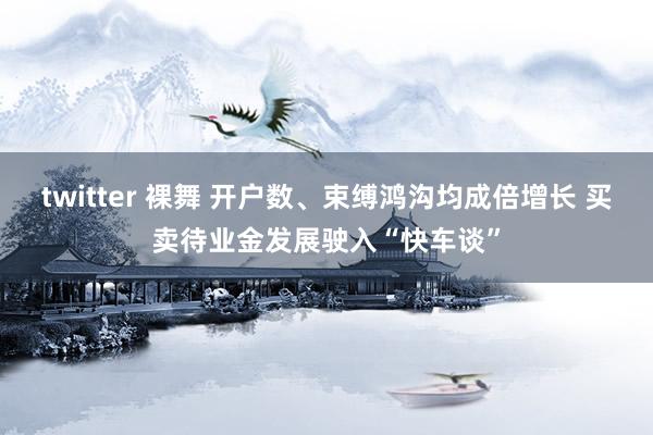 twitter 裸舞 开户数、束缚鸿沟均成倍增长 买卖待业金发展驶入“快车谈”