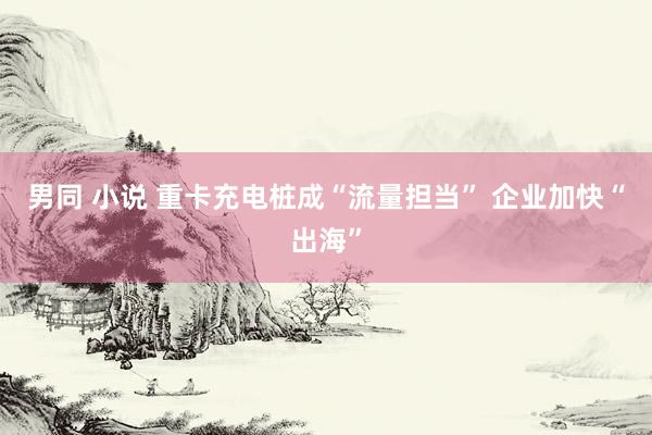 男同 小说 重卡充电桩成“流量担当” 企业加快“出海”