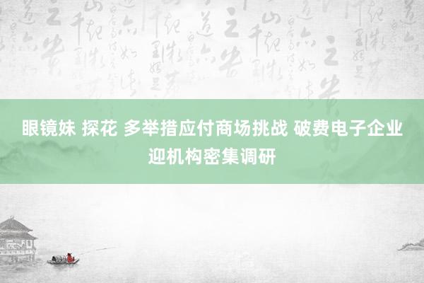 眼镜妹 探花 多举措应付商场挑战 破费电子企业迎机构密集调研