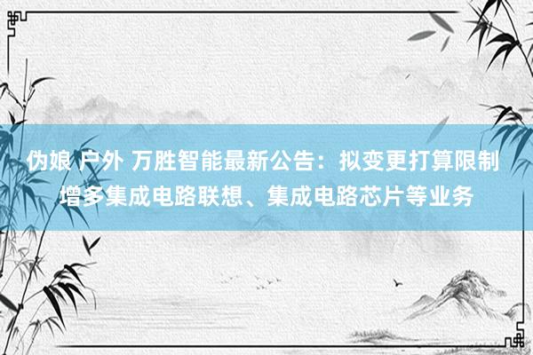 伪娘 户外 万胜智能最新公告：拟变更打算限制 增多集成电路联想、集成电路芯片等业务