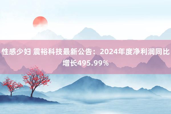 性感少妇 震裕科技最新公告：2024年度净利润同比增长495.99%