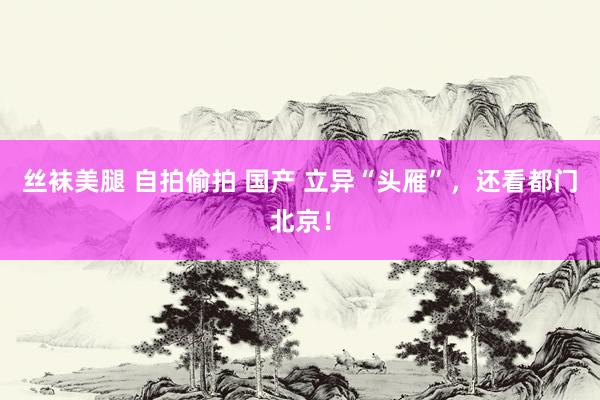 丝袜美腿 自拍偷拍 国产 立异“头雁”，还看都门北京！