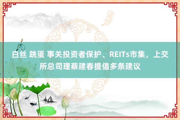 白丝 跳蛋 事关投资者保护、REITs市集，上交所总司理蔡建春提倡多条建议