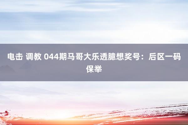 电击 调教 044期马哥大乐透臆想奖号：后区一码保举