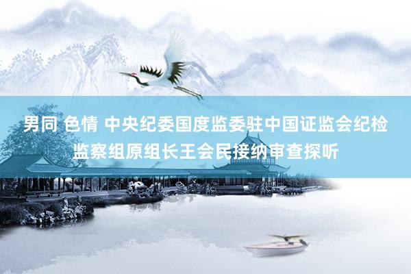 男同 色情 中央纪委国度监委驻中国证监会纪检监察组原组长王会民接纳审查探听